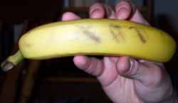 The Banana