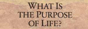 What is the Purpose of Life?