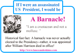 A Barnacle