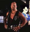 Vegeta with Stone Cold Steve Austin